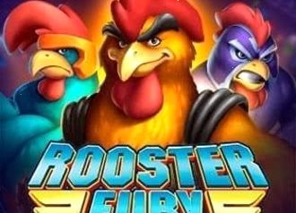 rooster fury azino